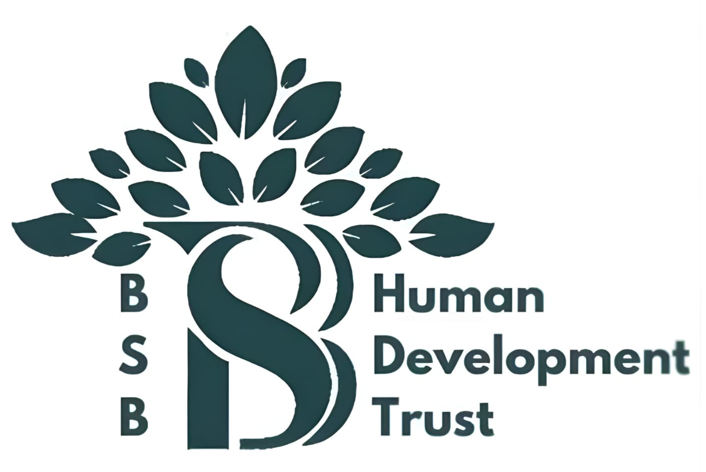 BSB Human Development Trust